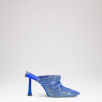 GOLIARDA - The Winter's Tale