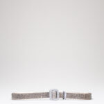 VENUS BELT LA PETITE - A Kiss In The Dark