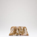 VENUS LA GRANDE - Trick Of The Light