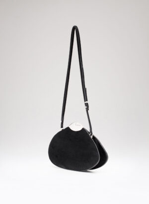 BELLE DE JOUR - Thoroughbred